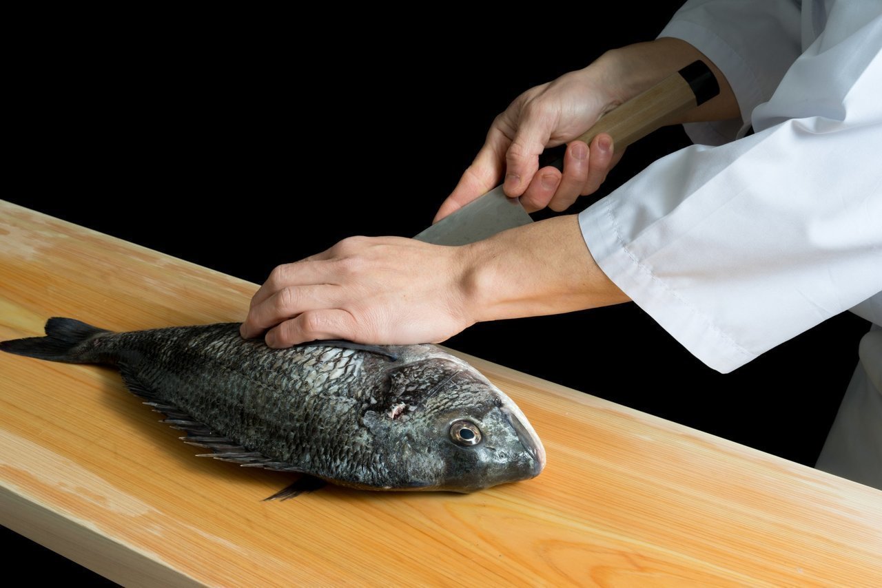 あなたの魚の締め方や血抜きの方法は間違っているかもしれない！？正しい方法を復習しよう！【動画】｜FISHING JAPAN（フィッシングジャパン）