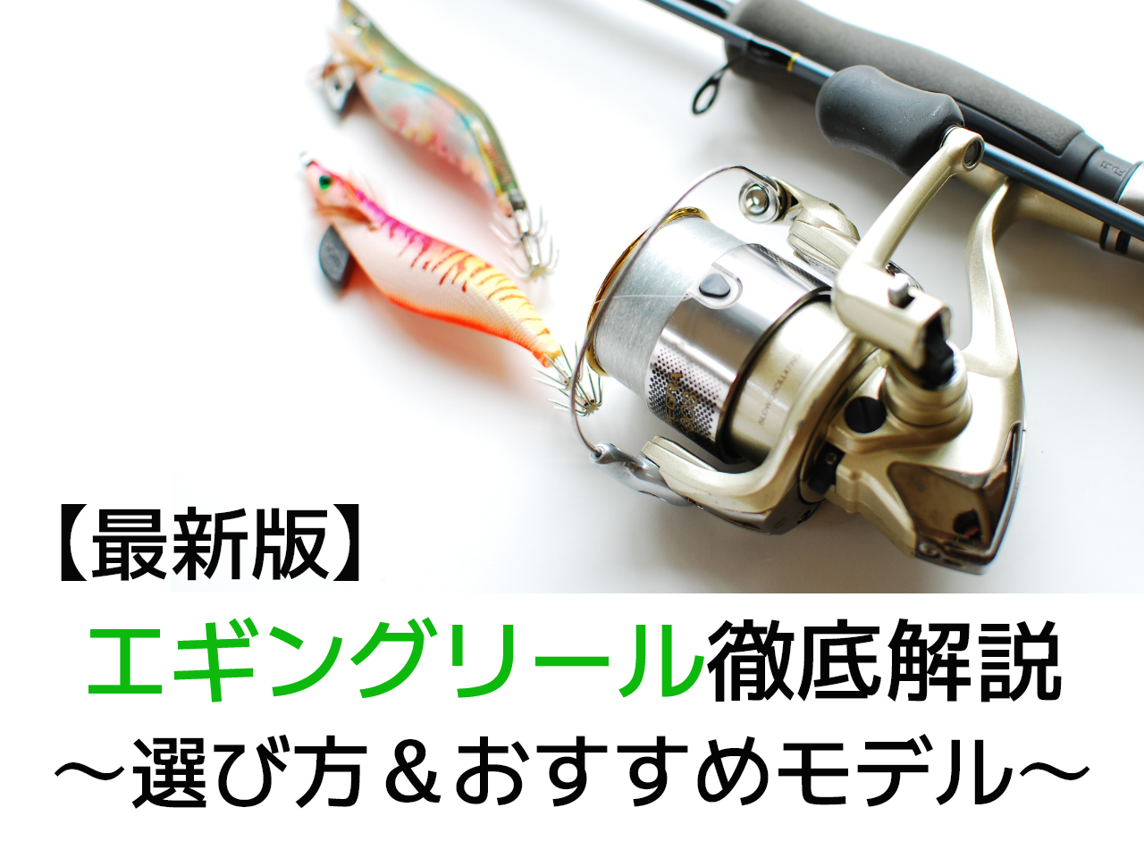 【2022年】エギングリールの選び方＆プロおすすめのモデルをご紹介！｜FISHING JAPAN（フィッシングジャパン）